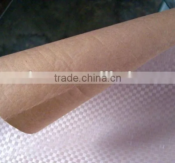 Kraft Paper Laminated Woven Roll on Sale photo-2