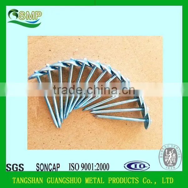Cheap Price Wire Coil Nails For Pallets Roofing Nails for Sale