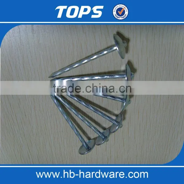 Galvanized Umbrella Head Roofing Nails With Smooth/Twist Shank by Low Price photo-6