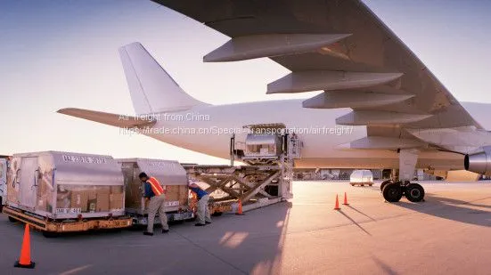 Доставка DDP из Китая в Литву photo-3
