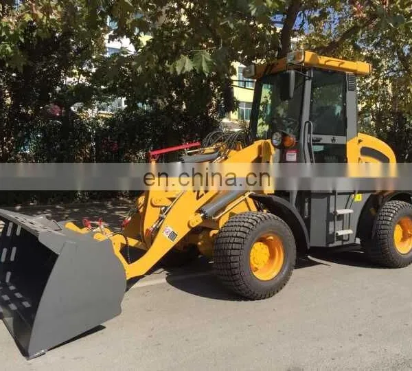 1.0ton Skidsteer Loader With Snow Blade photo-5