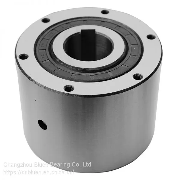 Cam Clutch MZ Series Sprag One Way Bearing Clutch photo-3