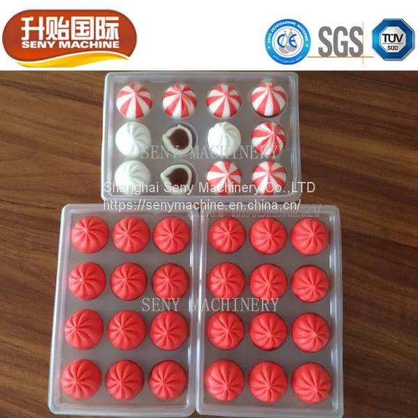 SY-800 Frozen Full Automatic Fish Ball Making Machine Meatball Machine Seny Fishball Machine Parameters photo-3