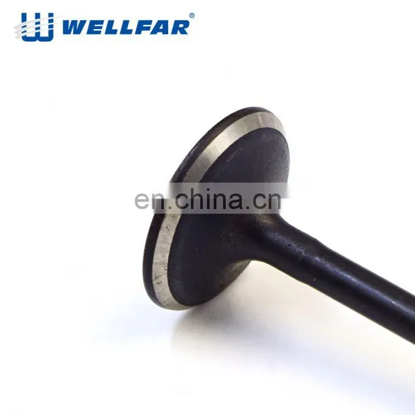 R19 Auto Engine Valve for SYMBOL/CLIO 1.4 photo-4