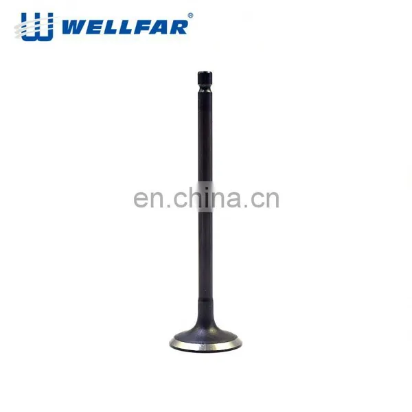 Good Material Engine Part Engine Valve 4G93 photo-4