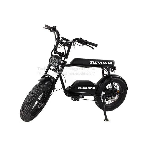 20inch 4.0tire With TPI Similar Motorcycle 7speed 4.0 Tire TPI Similar Motorcycle 7 Speed Similar Motorcycle photo-2