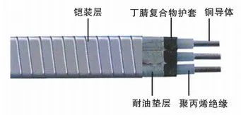 Electric Submersile Power Cable With Excellent Oil Resistance Properties-Iecex and EAC Certified photo-5