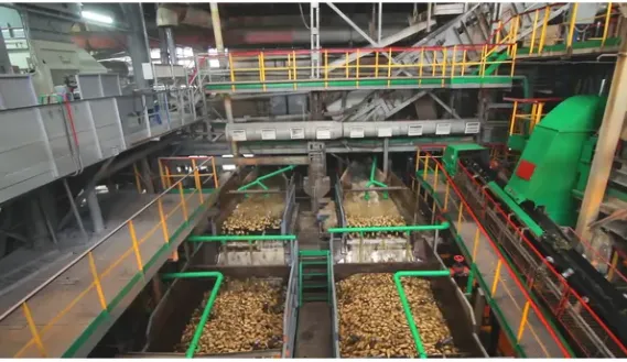 Zuckerfabrik aus Zuckerrüben photo-3