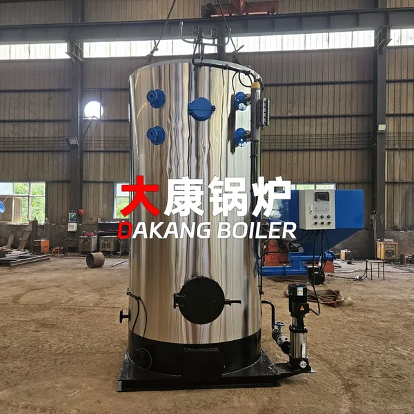 Yinchen Small Coal Steam Boiler Mini Industrial Coal Boiler Low Cost Stable Heating Equipment photo-5