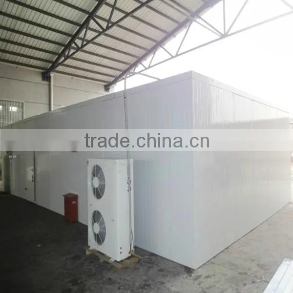 Chilling Room /freezer Room for Ice Cream photo-2