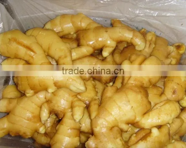 2015 Crop Chinese Shandong Origin Fresh Ginger photo-2
