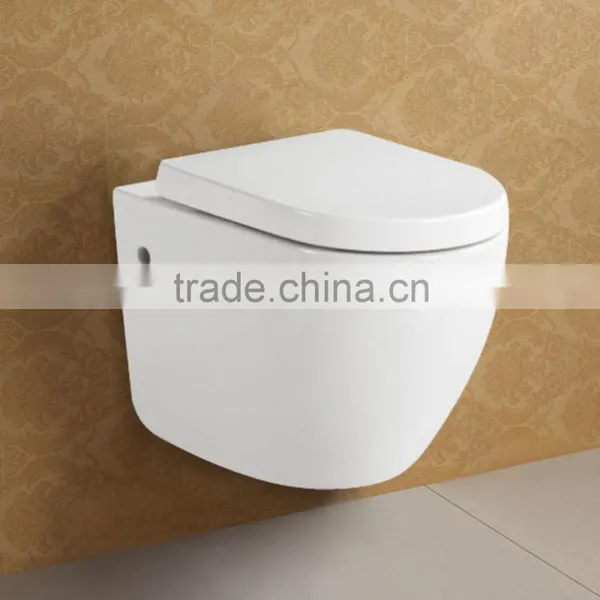 Soft Closing Seat Cover One Piece CE Water Closet photo-5