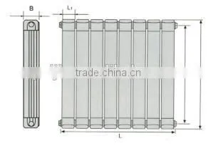 Comfortable Appearance for 75*75 Steel-Aluminum Compound Pole Wing Pioneer Radiator photo-2