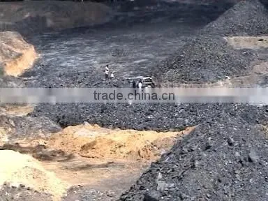 Coal