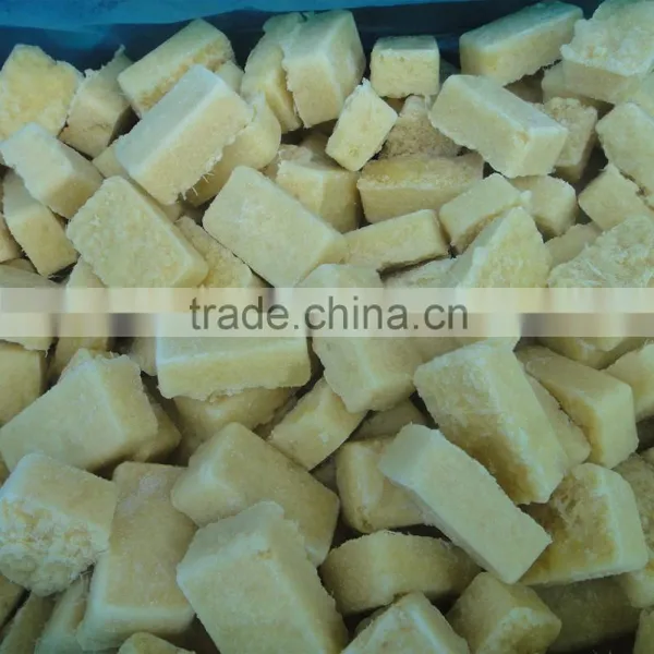 IQF Frozen Ginger Puree Tablet photo-2