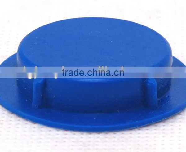 Plastic Valve Cap