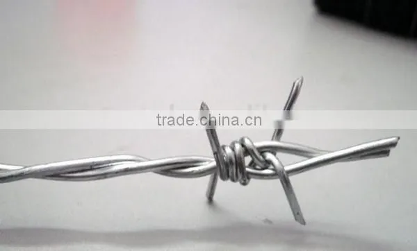 Galvanized Barbed Wire photo-3