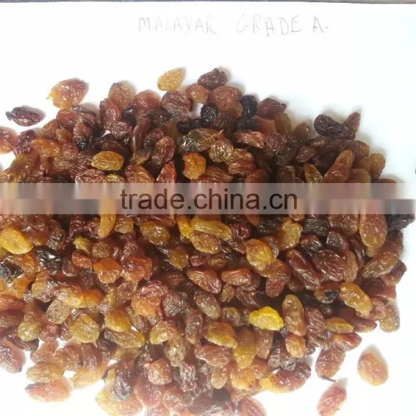 Malayar Raisins photo-2