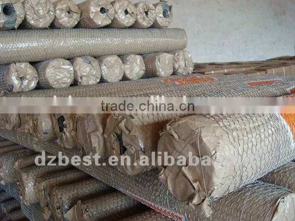 10*10electro Galvanized Hexagonal Wire Mesh Factory photo-4