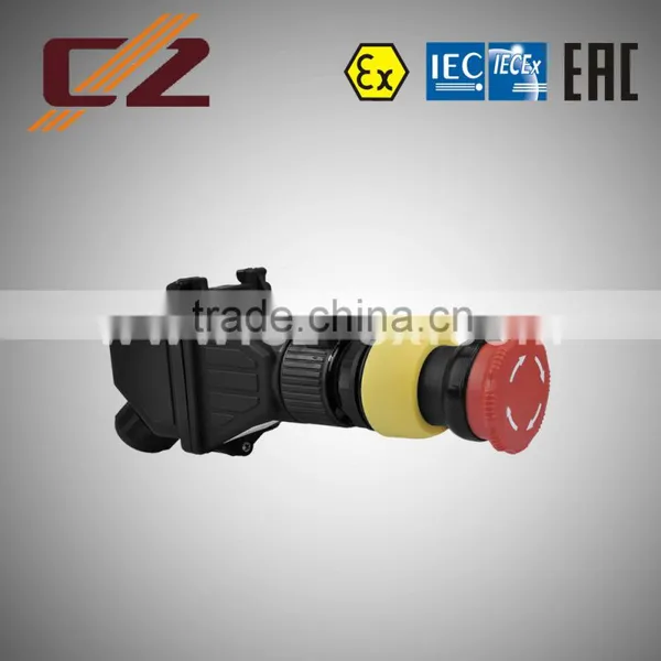 ATEX And IECEX Certificate IP66 2 Pole Explosion Proof Switch photo-6