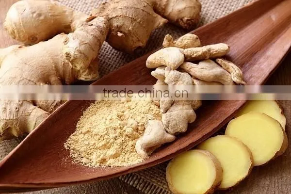 AIR DRIED GINGER 150G UP photo-2