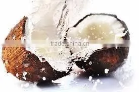 Indian Brown Natural Semi Husked Coconut photo-5