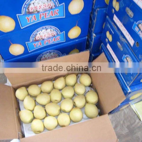 9KG Ya Pear 40-44 Specification photo-5