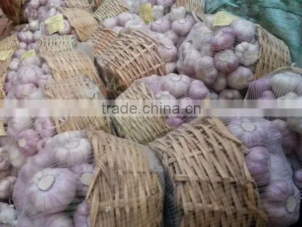Red Garlic photo-4