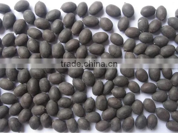 Lotus Seed, Lotus Grain