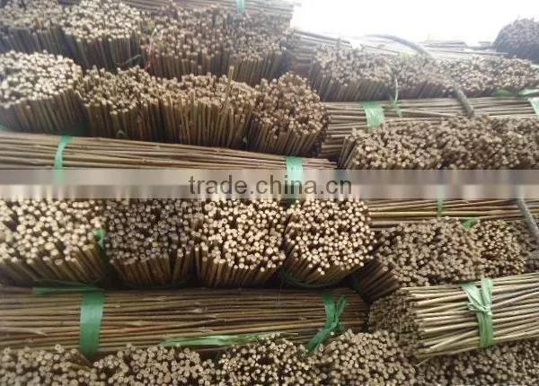 Bamboo Poles