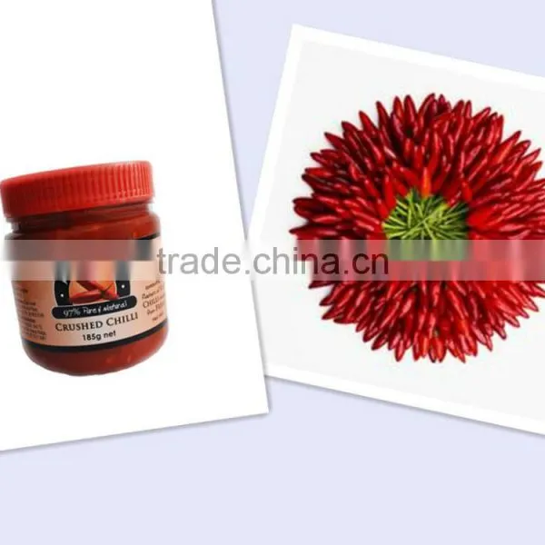 Chili Sauce/RED CHILLI PAST/cayenne Pepper photo-2