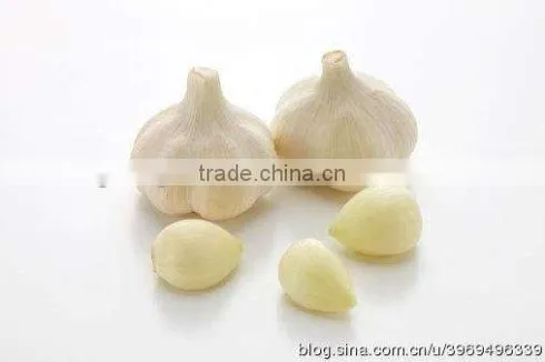 FX-128 CE Approved Garlic Peeling Skin Removal Removing Machine photo-5