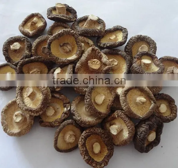Hot Sale Shiitake Mushroom for Sale photo-5