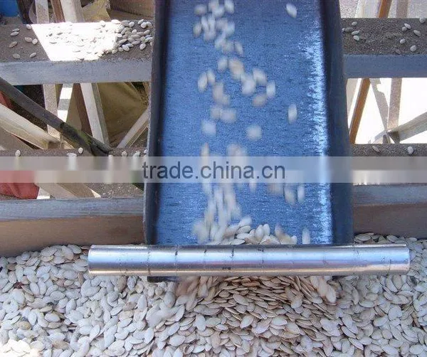 Chinese Shine Skin Pumpkin Seeds 10-11mm photo-3