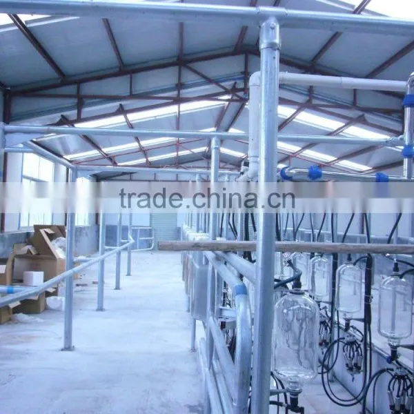 Herringbone Milking Parlor 2x10 With Milk Flow Meter Cow Milking Parlor photo-6