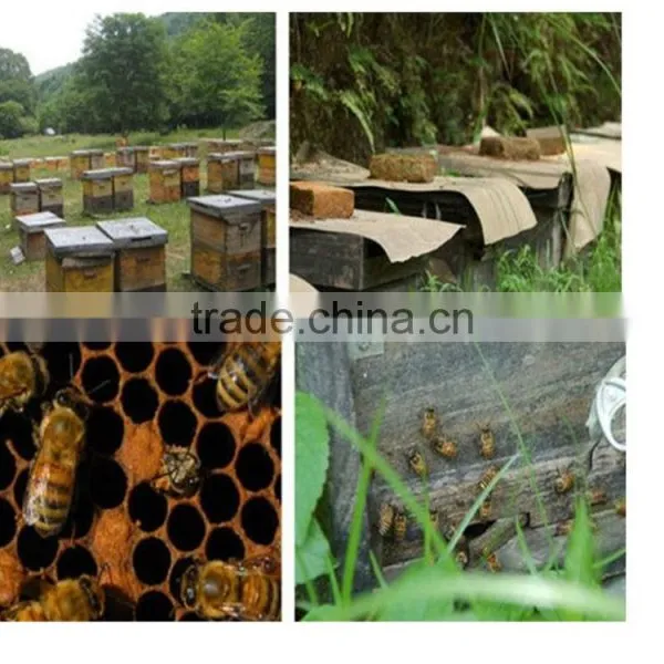 Hot Selling Best Bee Wax Comb For Bee Hive photo-5