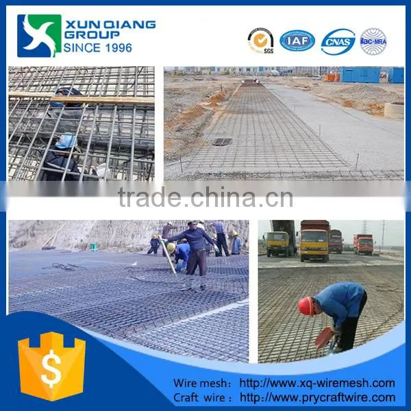 Hight Quality Protecting Mesh Galvanized Welded Wire Mesh Panel for Sale photo-3