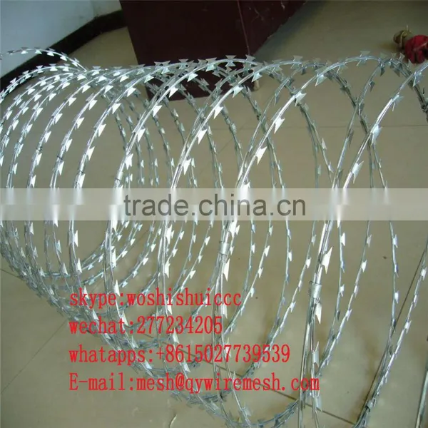 2017 High Quality Galvanized Welded Razor Wire Mesh/Blade Concertina Razor Barbed Wire Export photo-4
