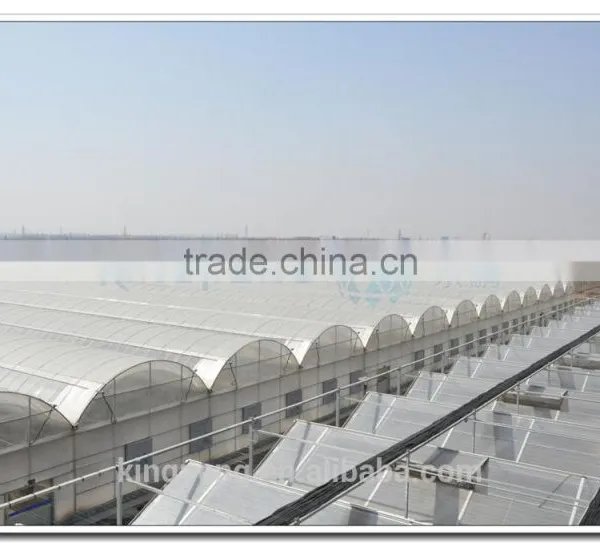 Flat Clear Tempered Transparent Glass Greenhouses for Agriculture (ISO9001:2000) photo-3