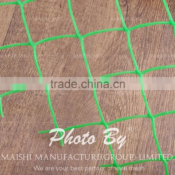 Plastic Extruded Net photo-4