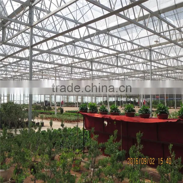Tropical Sawtooth Greenhouse photo-4