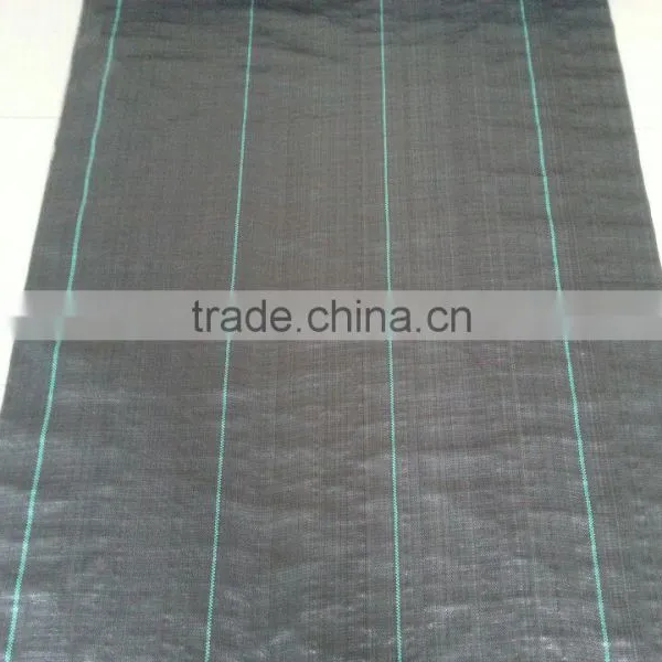 Weed Control Fabric pp Woven Weed Mat photo-3