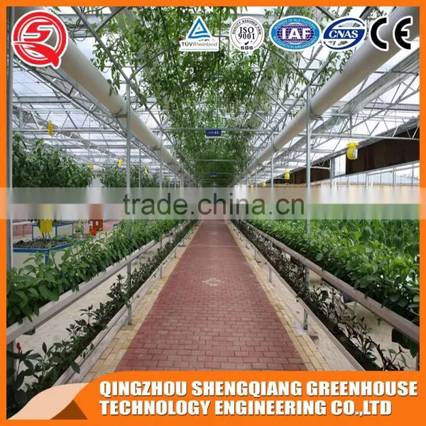 Simple and Practical Greenhouse Hydroponic Glass Greenhouse Frames photo-2