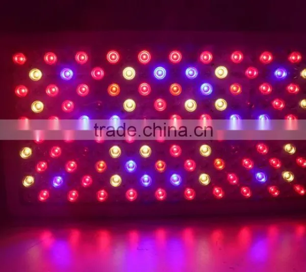 2016 Hot-selling Led Grow Light 1000W Full Spectrum LED Grow Light for Veg and Flowering photo-6