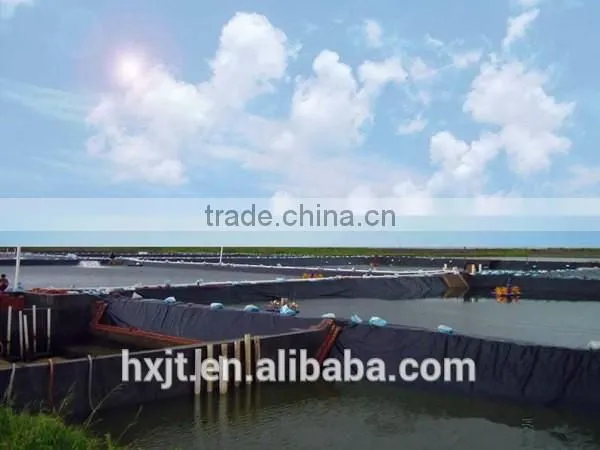 Swimming Pool /Shrimp Pond HDPE Geomembrane Liner(ASTM) photo-4