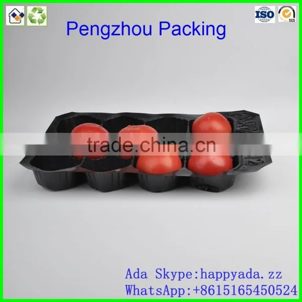 pp Tray PP Fruit Tray For Tomato photo-3