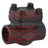 Forged Steel Check Valve