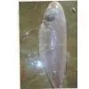 Chilled/Fresh Tongue Sole Fish