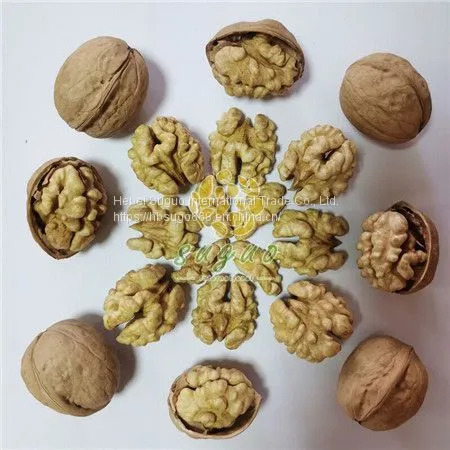 185 Walnut Inshell  Soft Thin Shell 185 Walnut Wholesale China Walnuts Inshell Manufacturers