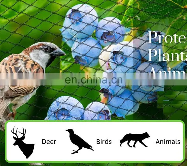 Manufacture High Dene and Vegetable Protection Agricultural Greenhouses HDPE Anti Bird Nets for Garden Net photo-4